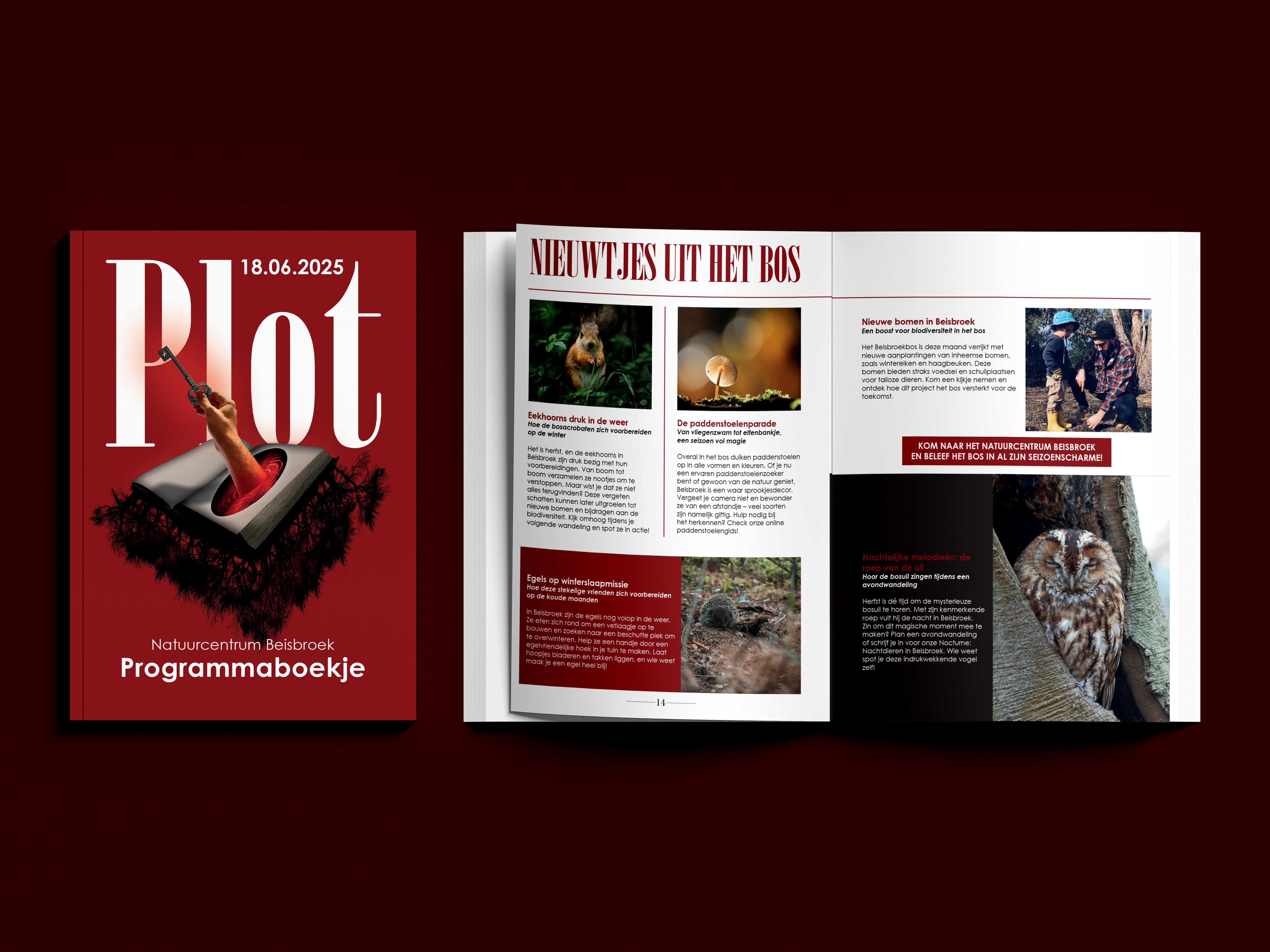 PLOT 4